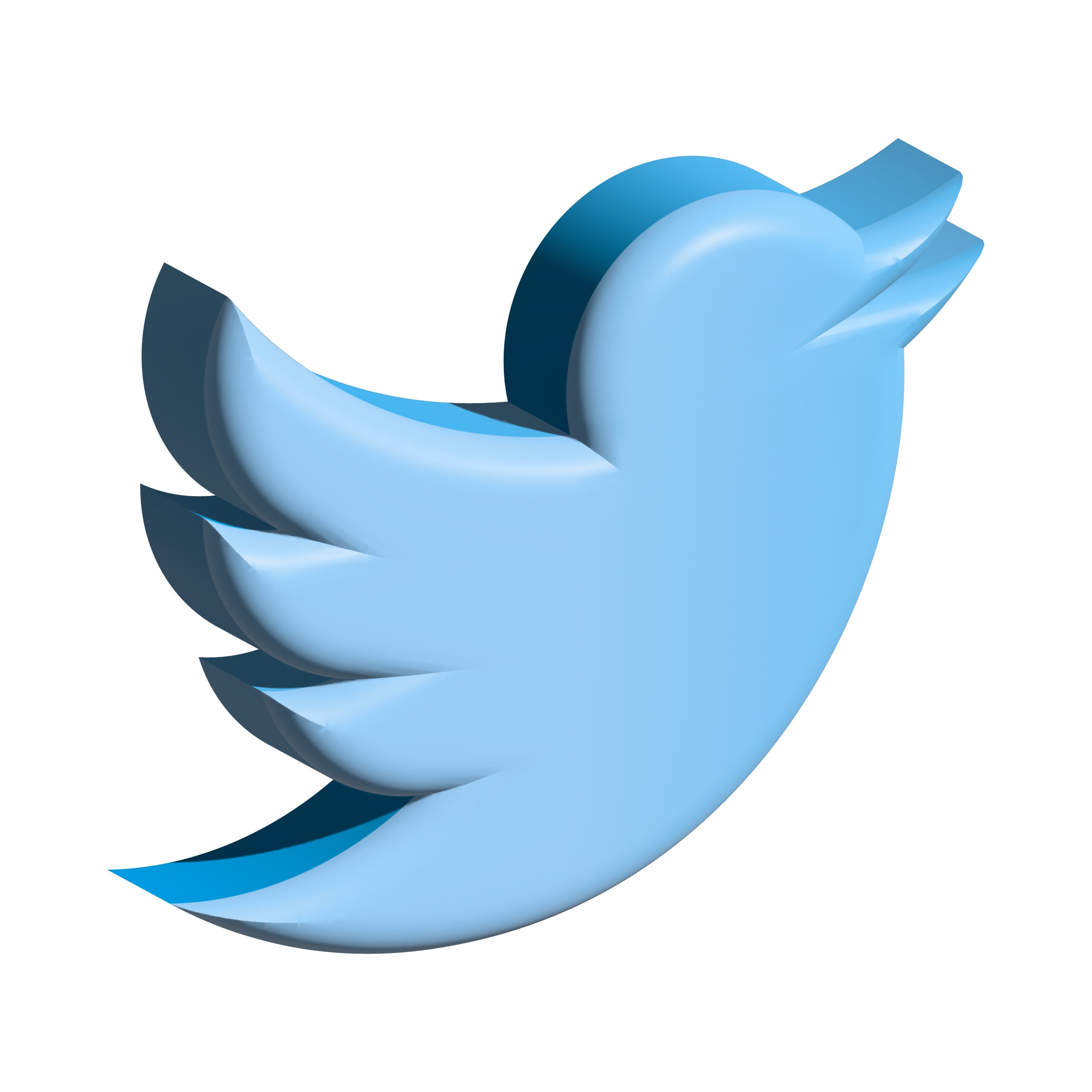 3D rendering of Twitter Icon