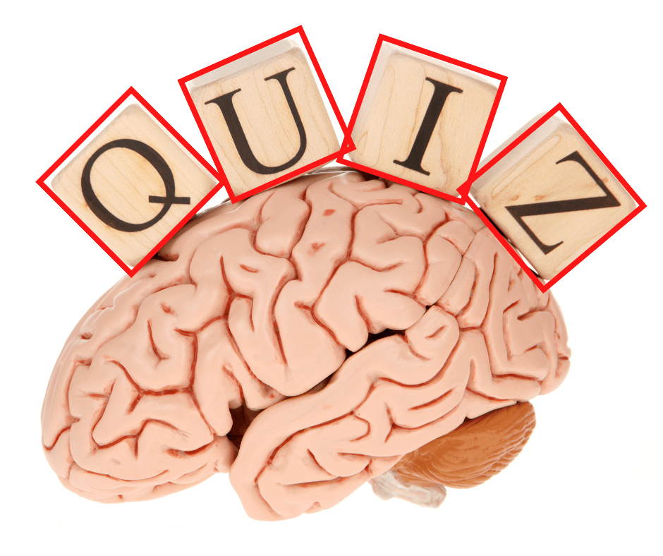 Picture of a brain with blocks on top spelling out the word "QUIZ." 