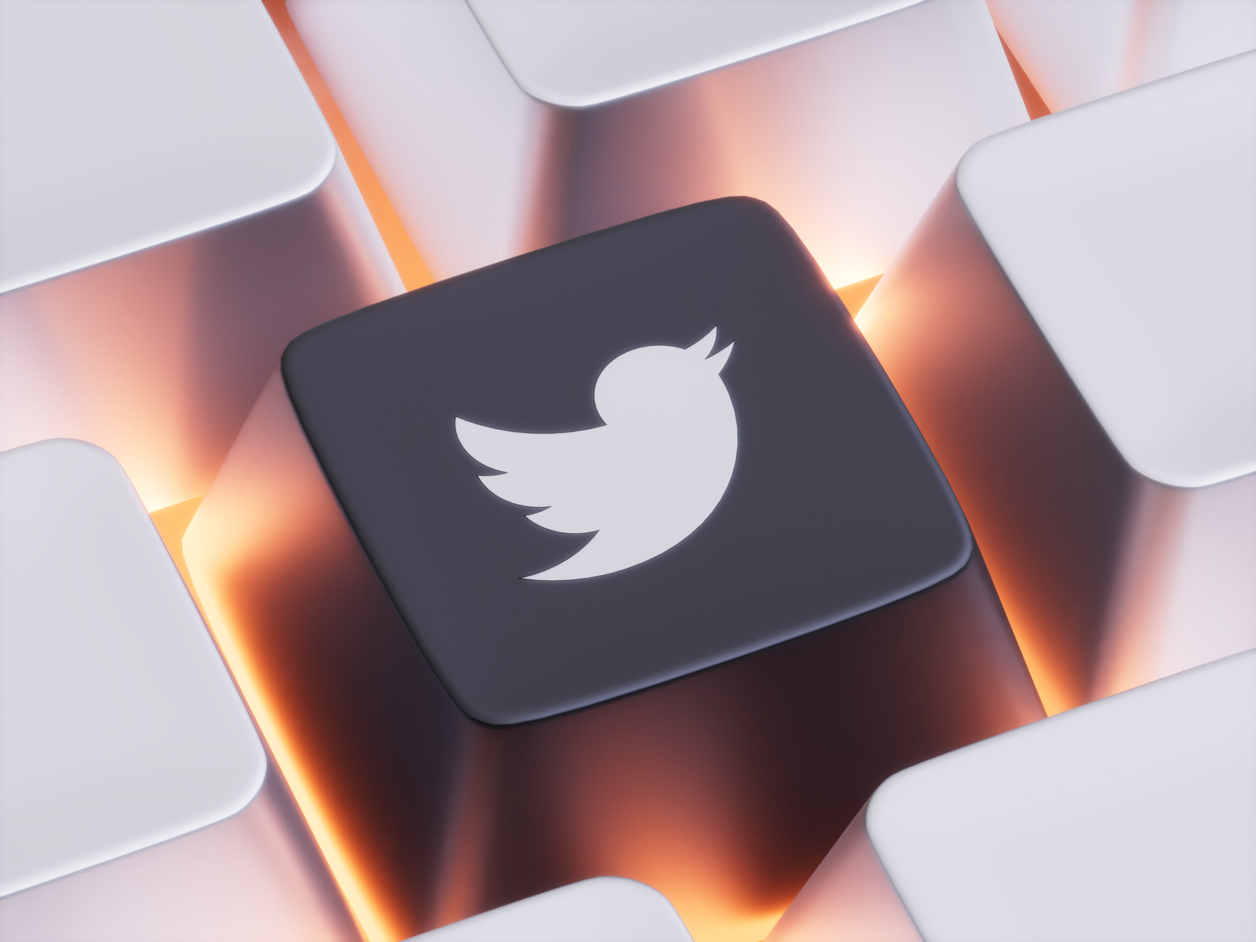 A closeup of a keyboard with one key all in black with a white Twitter Logo. 